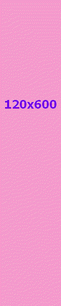 120x600
