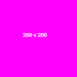 250x250